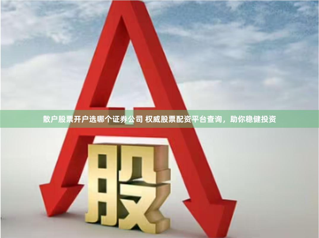 散户股票开户选哪个证券公司 权威股票配资平台查询，助你稳健投资
