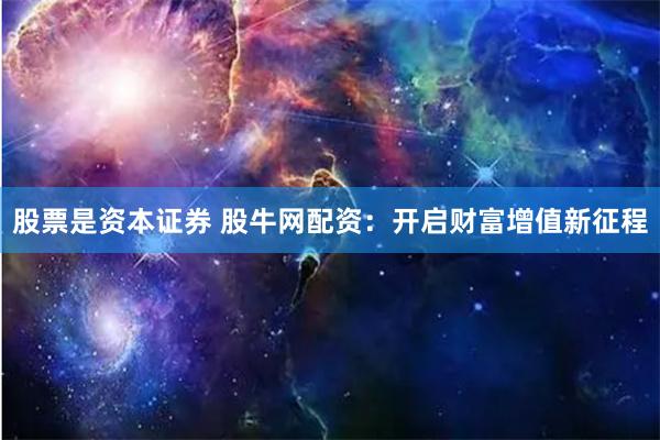 股票是资本证券 股牛网配资：开启财富增值新征程