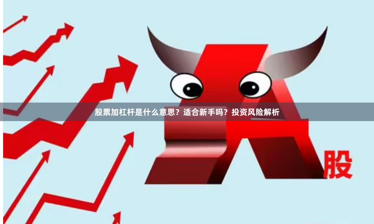 股票加杠杆是什么意思？适合新手吗？投资风险解析