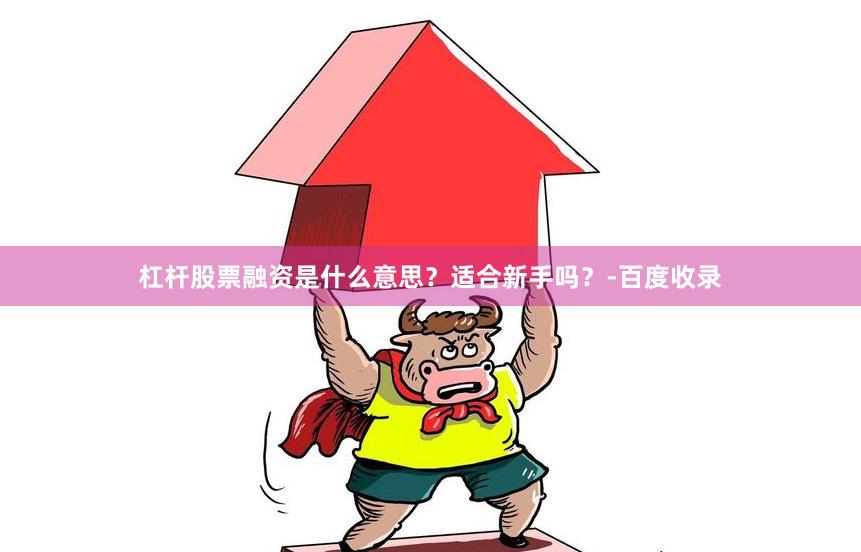 杠杆股票融资是什么意思？适合新手吗？-百度收录