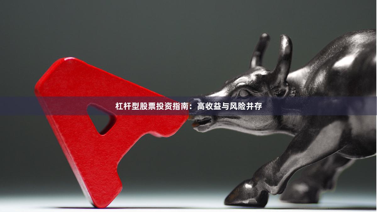 杠杆型股票投资指南：高收益与风险并存