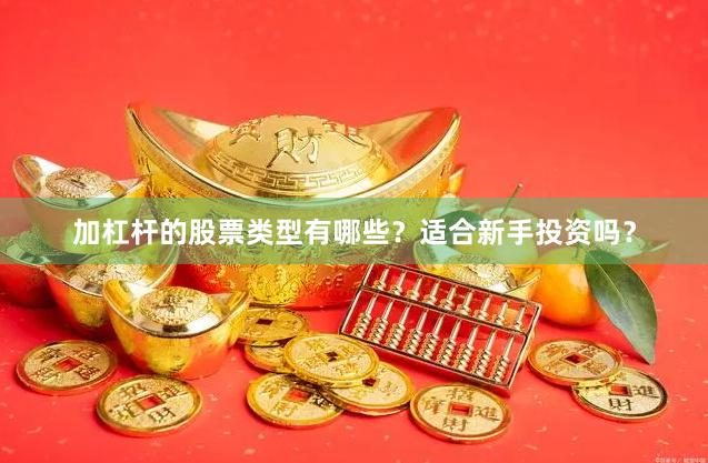 加杠杆的股票类型有哪些？适合新手投资吗？