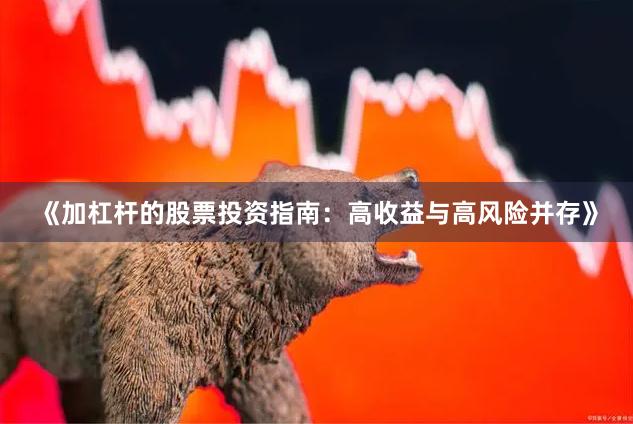 《加杠杆的股票投资指南:高收益与高风险并存》