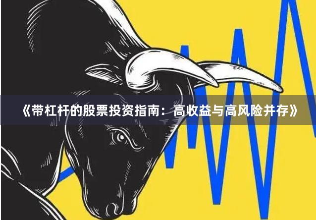 《带杠杆的股票投资指南：高收益与高风险并存》