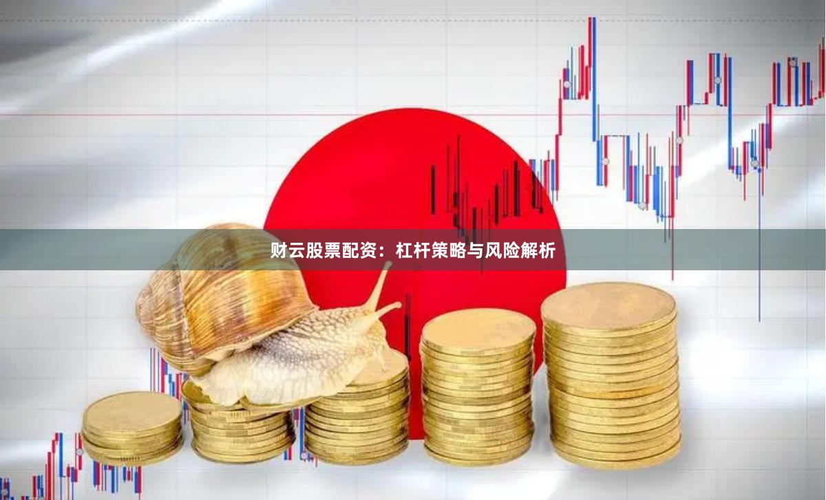 财云股票配资：杠杆策略与风险解析